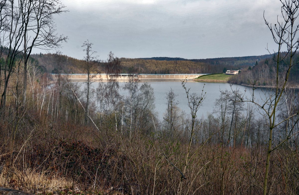 Forstler tweet media