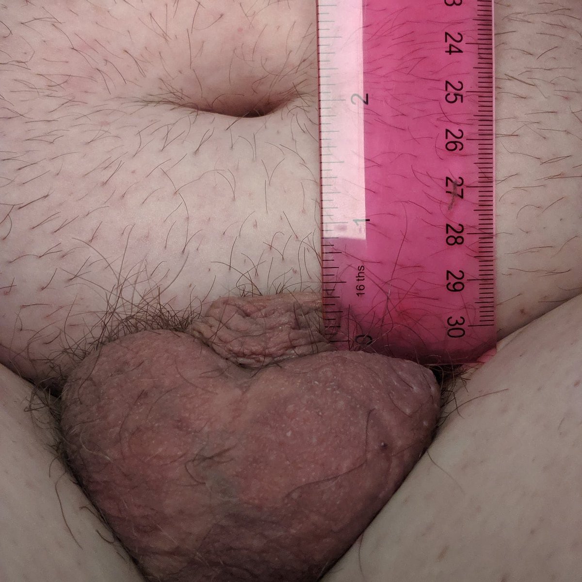 SmallPenisClub tweet media