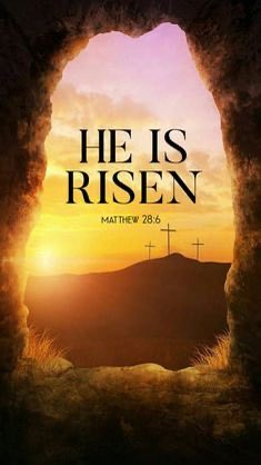 Jayda Fransen tweet media