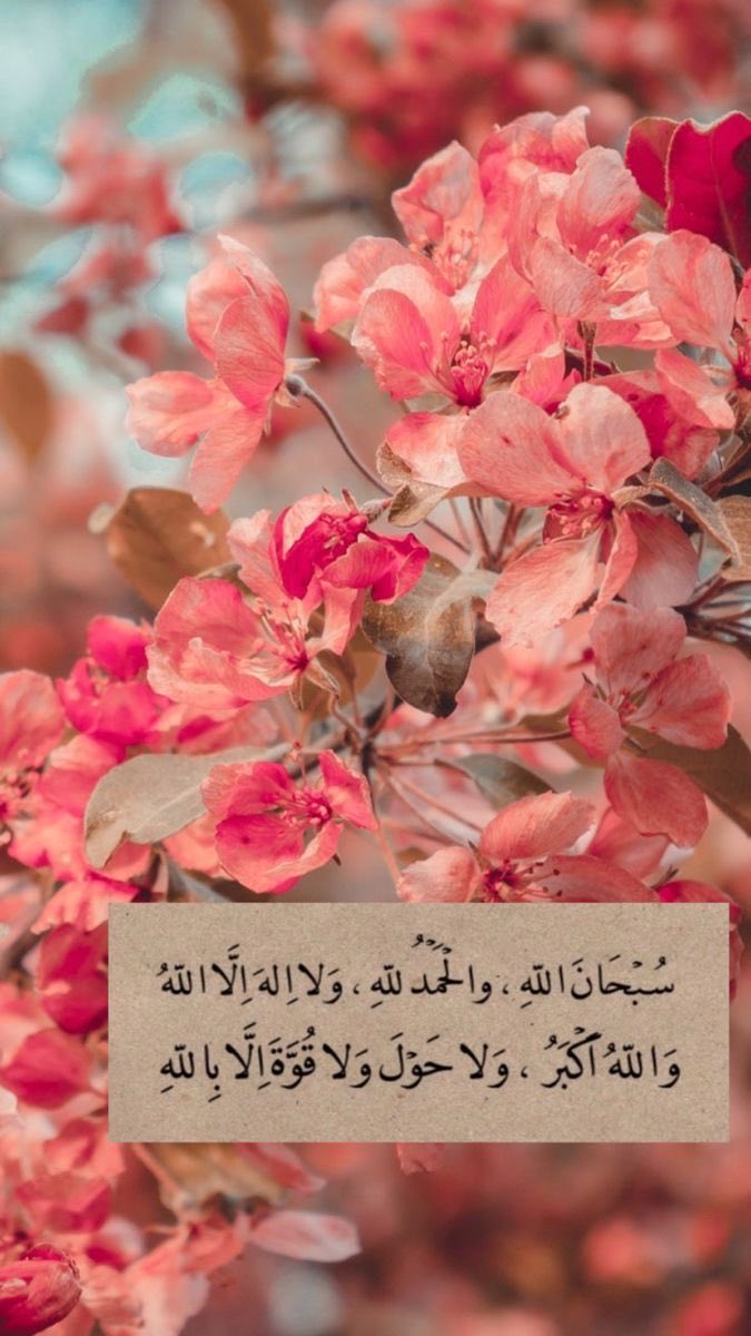 E2225's tweet photo. #صباح_الامل_والتفاول https://t.co/gupciRilWT