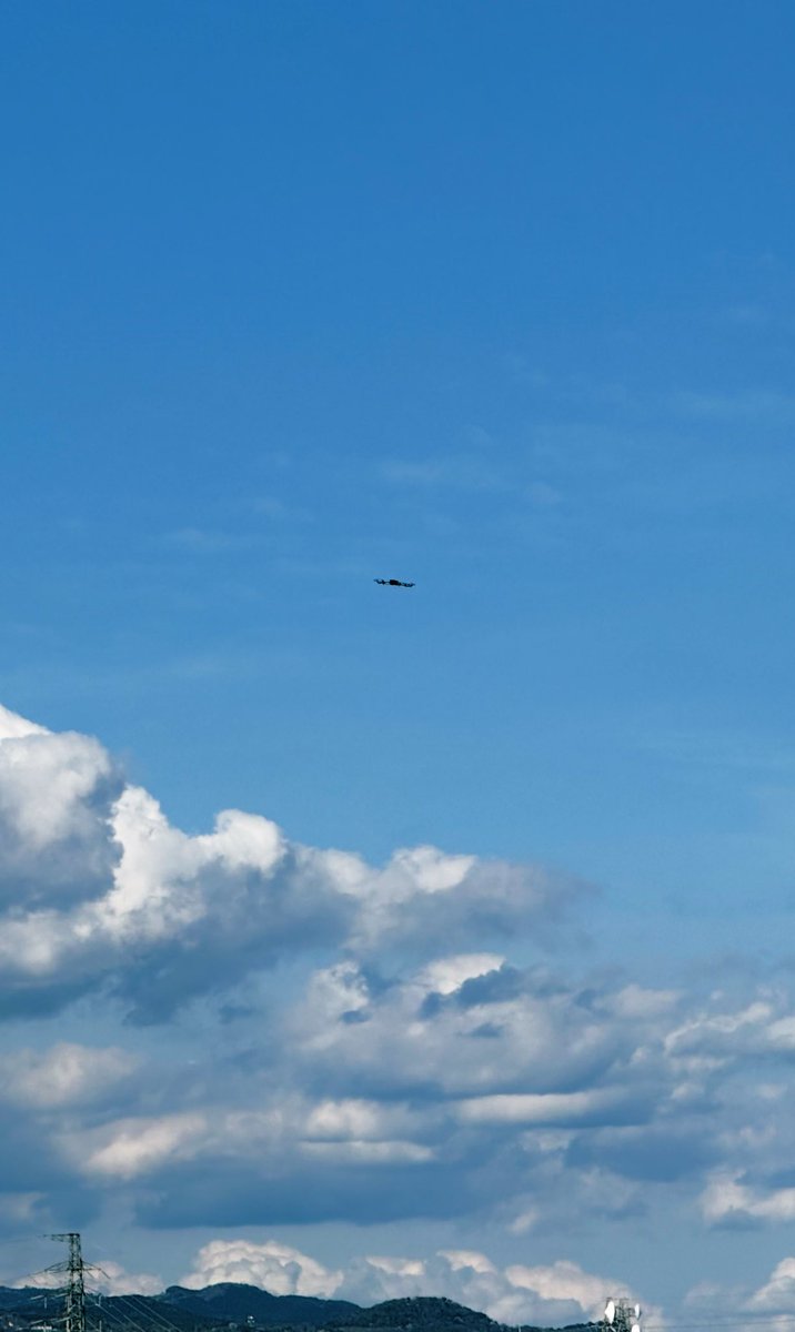 PUNKY-hedgehog tweet media