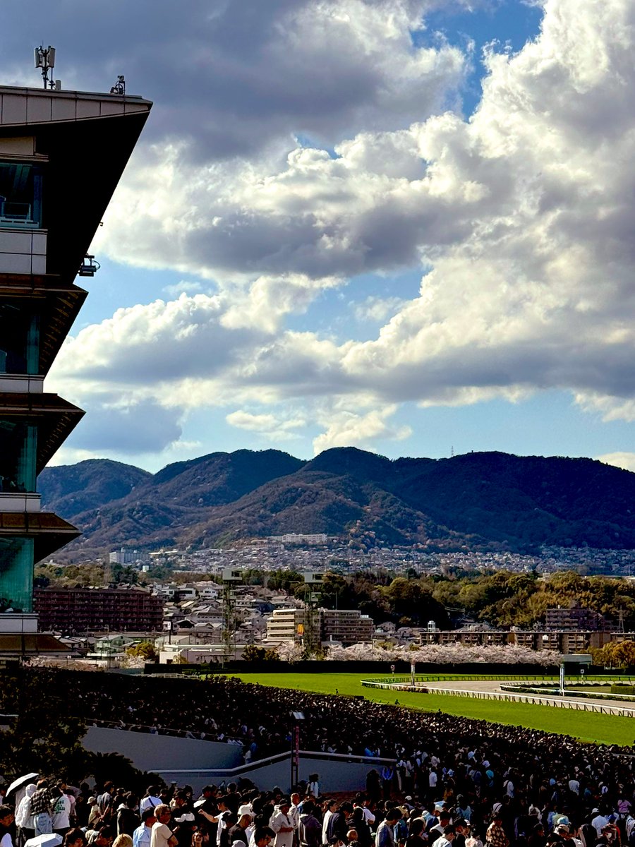 PUNKY-hedgehog tweet media