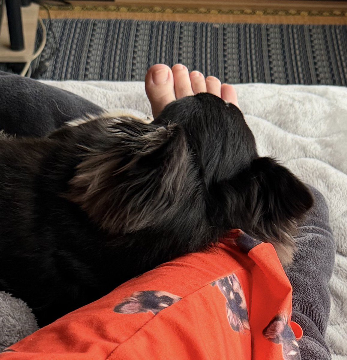 🦋ちぃ🦋 tweet media