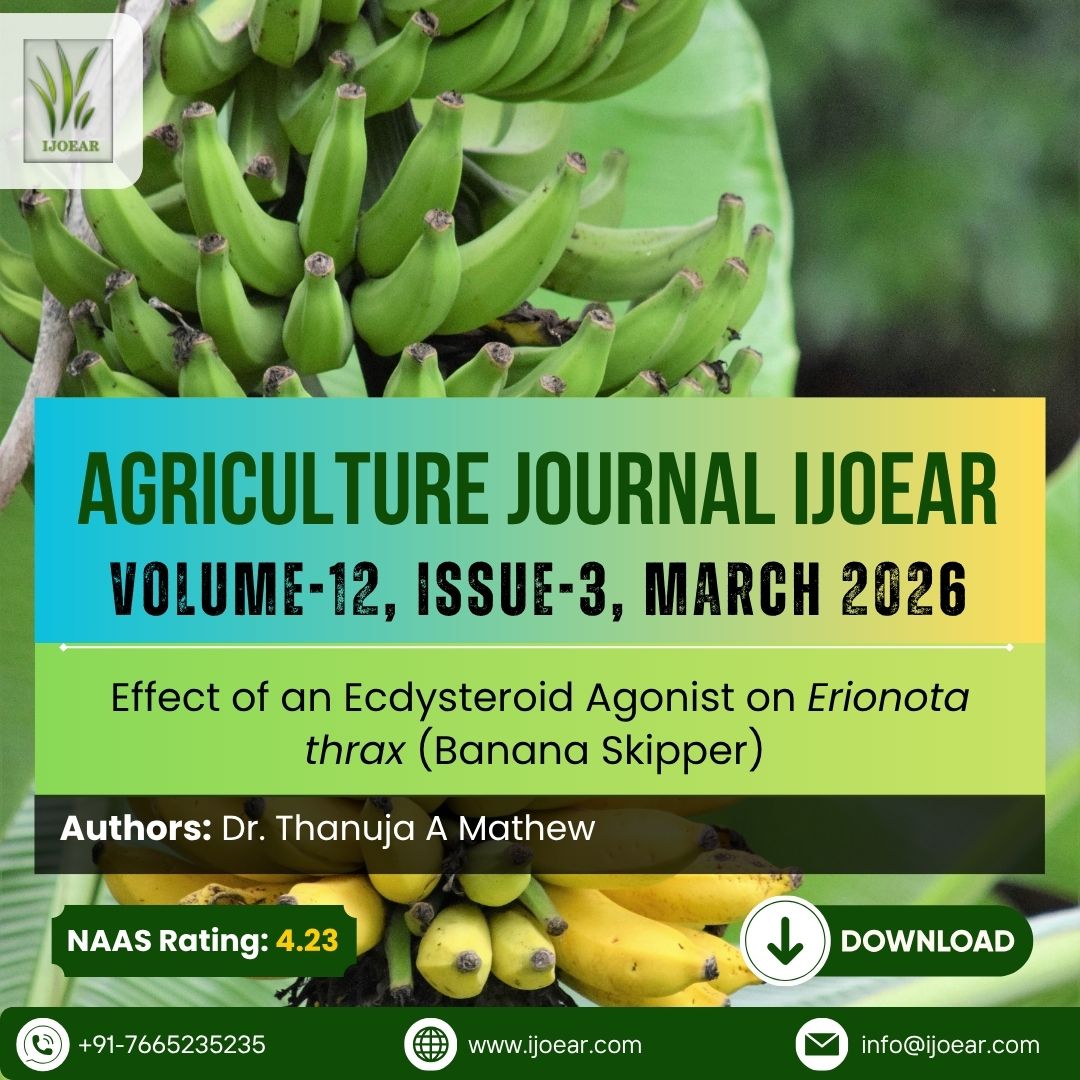 AD Publications tweet media