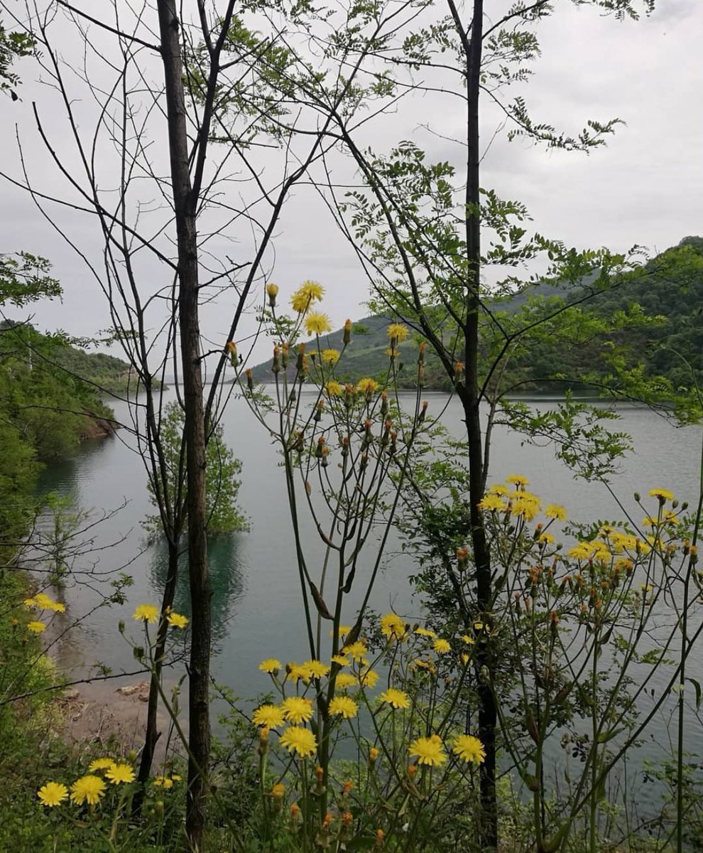 Günaydın.💚
Yağışlı bir gündeyiz. Bahar  havasına kısa bir ara verdik, ama kır çiçeklerimiz hâlâ neşeli.