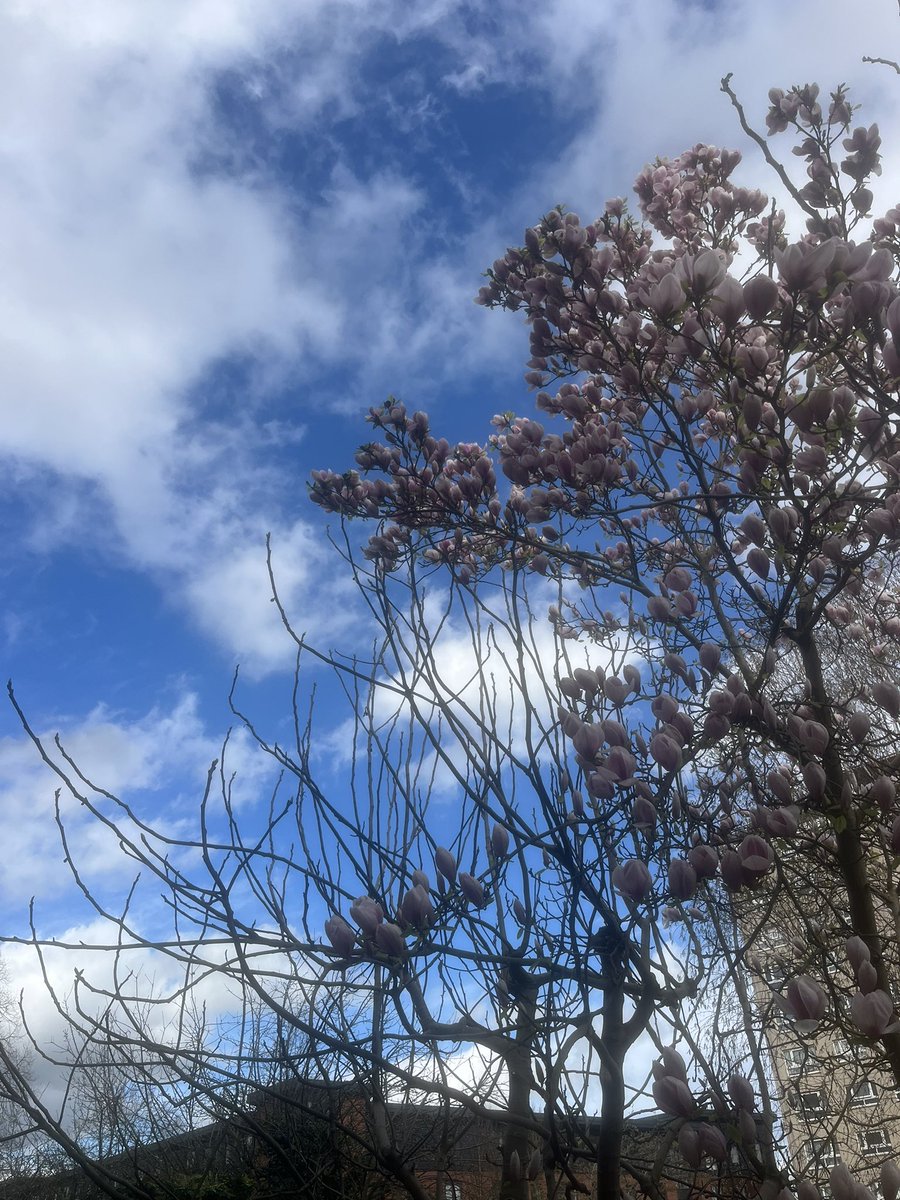 tilly🧸 tweet media