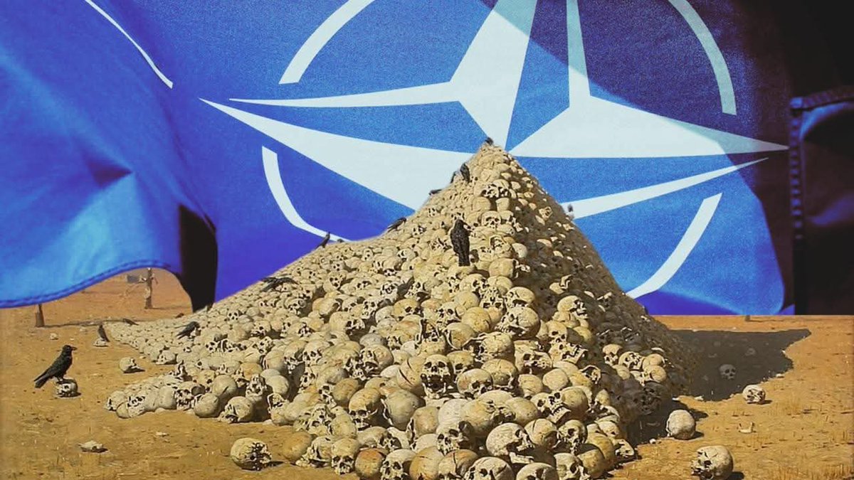 Celal Kemal Balkar tweet media