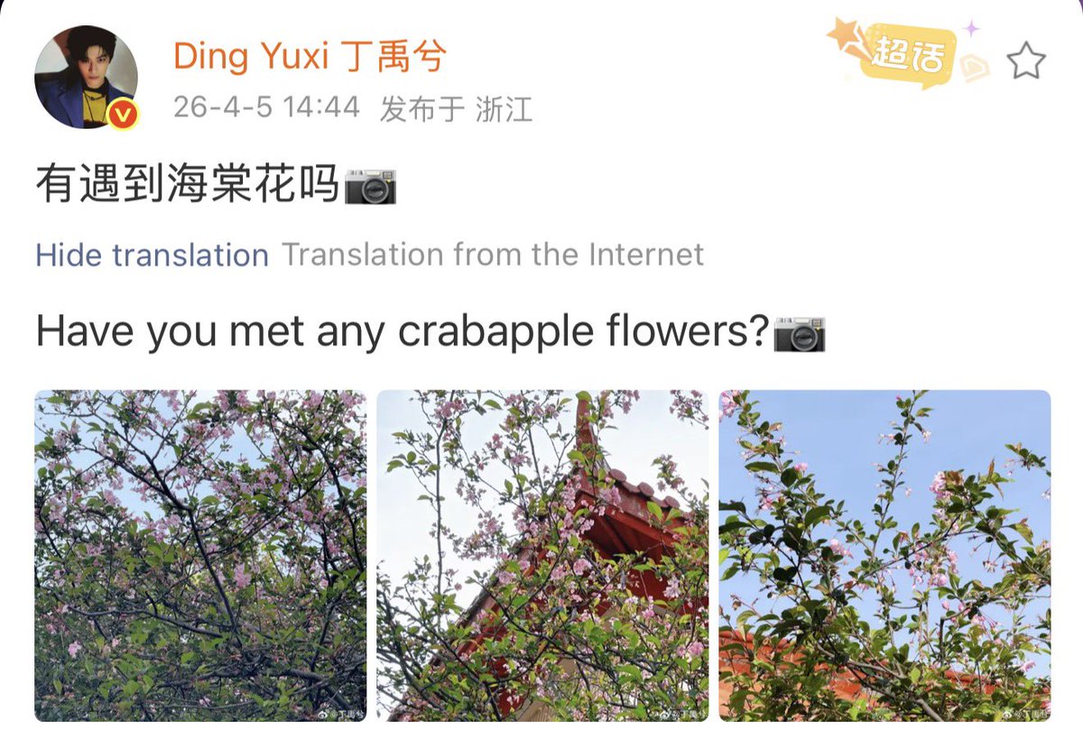 Ding 宝宝 tweet media