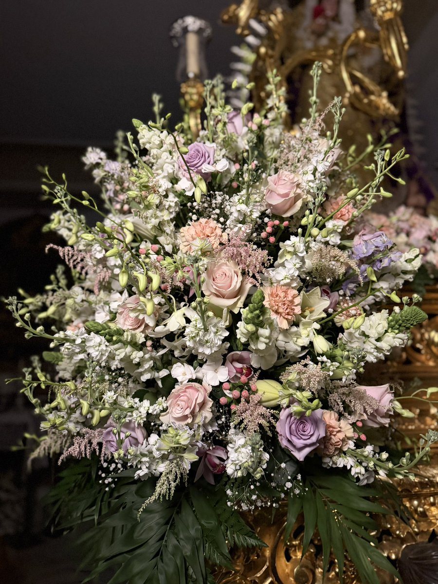 Hdad Soledad Albaida tweet media