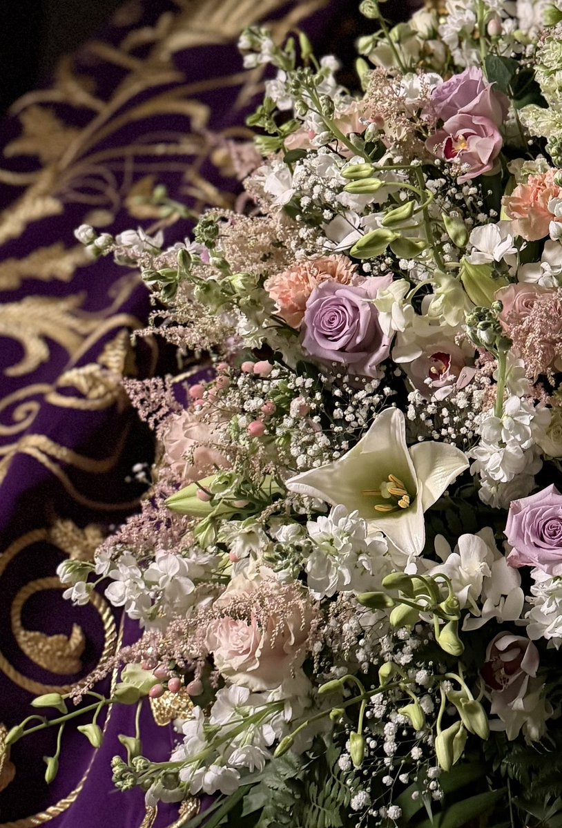 Hdad Soledad Albaida tweet media