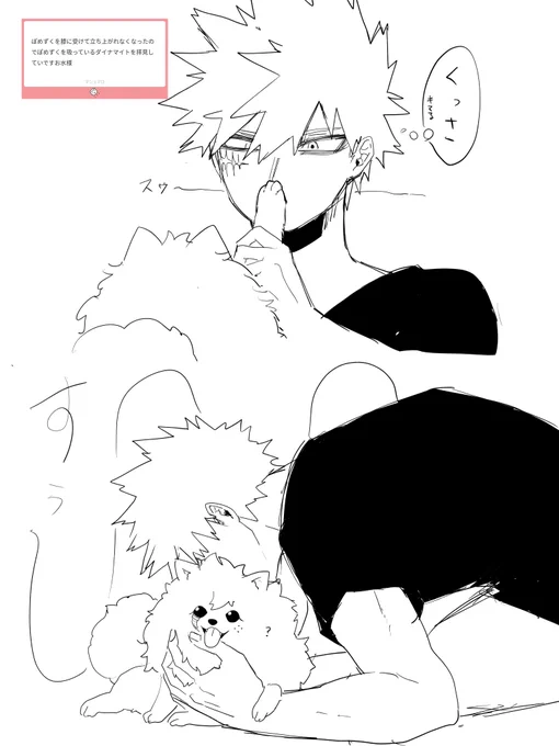 🐶 