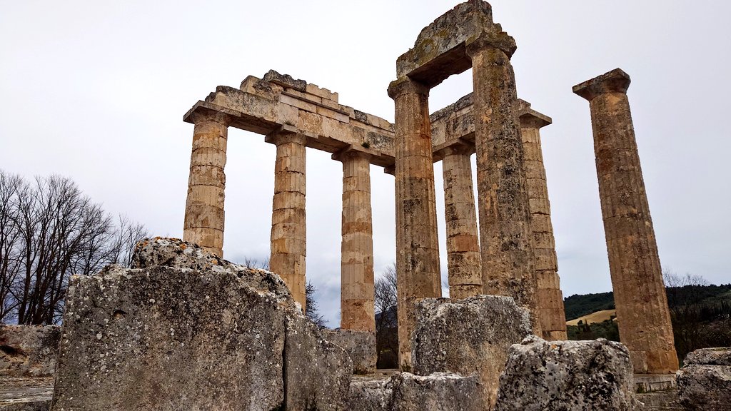 ふたば tweet media