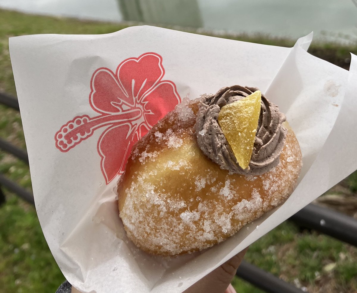 枡島もちこ tweet media