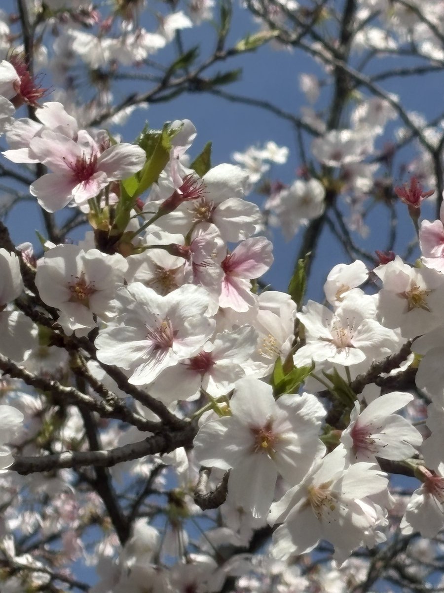 うるう tweet media