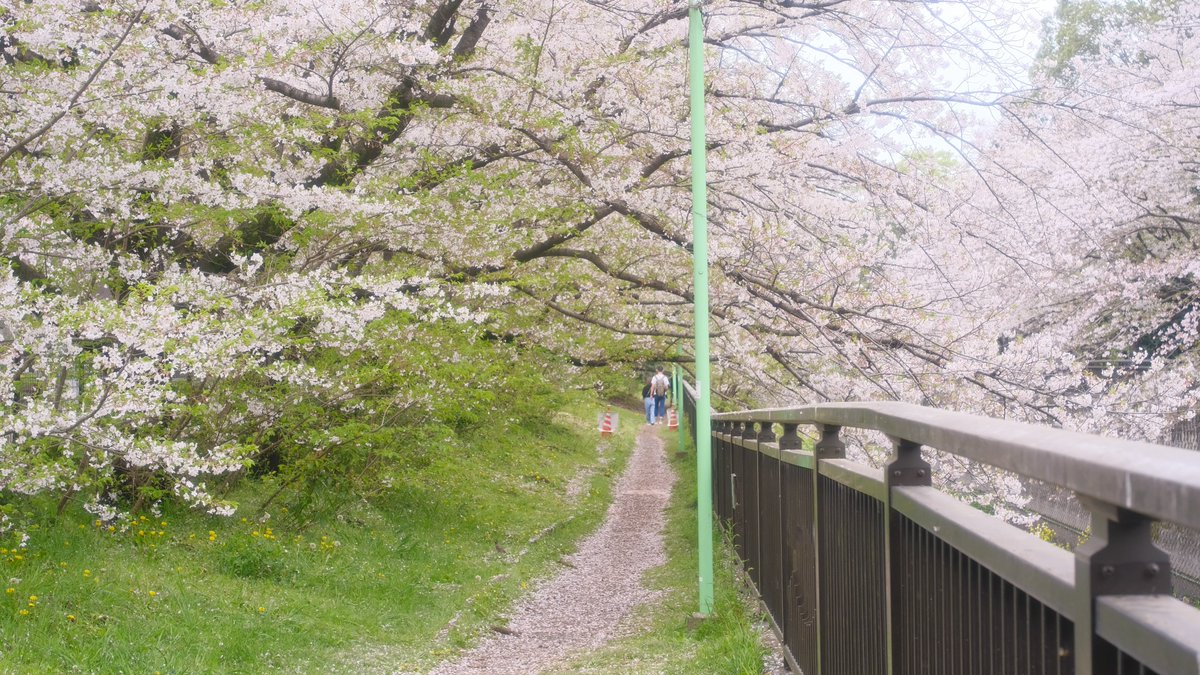 ハッシュ📷29a!😌 tweet media