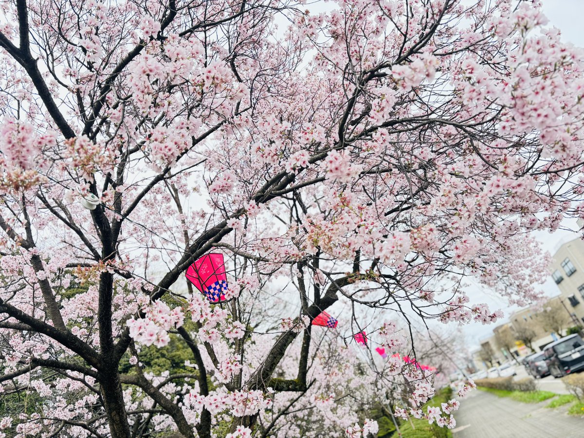 りえる tweet media