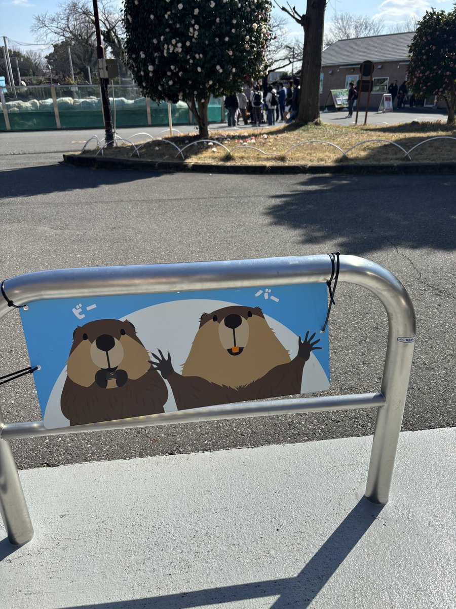 yade__bt07's tweet photo. 東武公って素晴らしくて。。
まず都内の動物園と比べて沢山の動物近くで見れるし何より人が少ない！！(写真は平日)
そして餌やりとかショーの時間もクオリティ高いし楽しい🥹
遊園地もアトラクションごとの会計だから乗りたいものだけ選べる👏🏻
地元のPR大使になってくれてありがとうタカシくん🥹🫶 https://t.co/SzObPfDSag