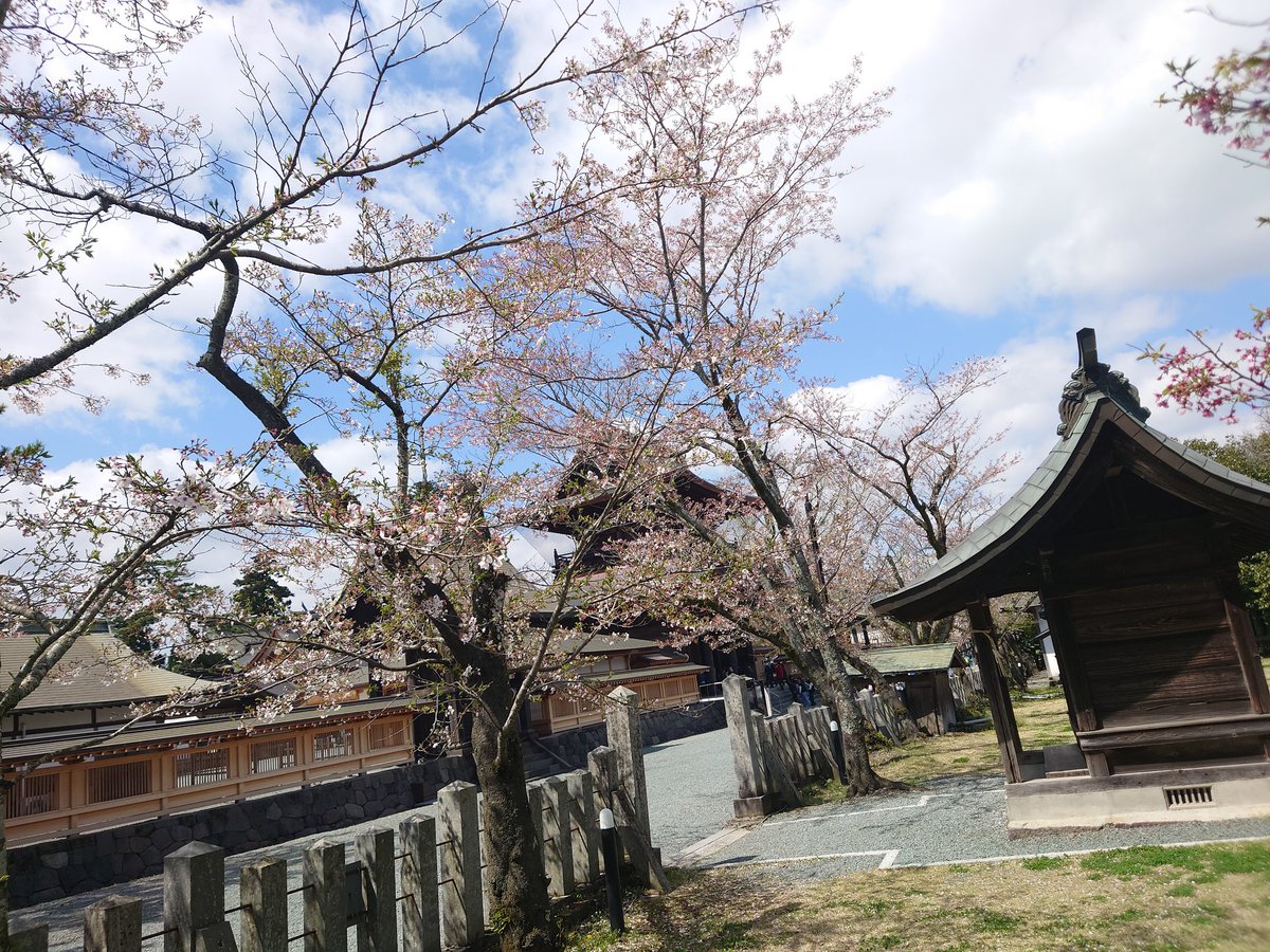 こうと tweet media