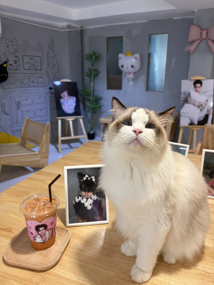 รอเซอร์วิสพี้ๆดีว่าอยู่ค้าบบ 🥰🤍

<a href="/ohmkrit/">ohmkrit</a> #ohmkrit