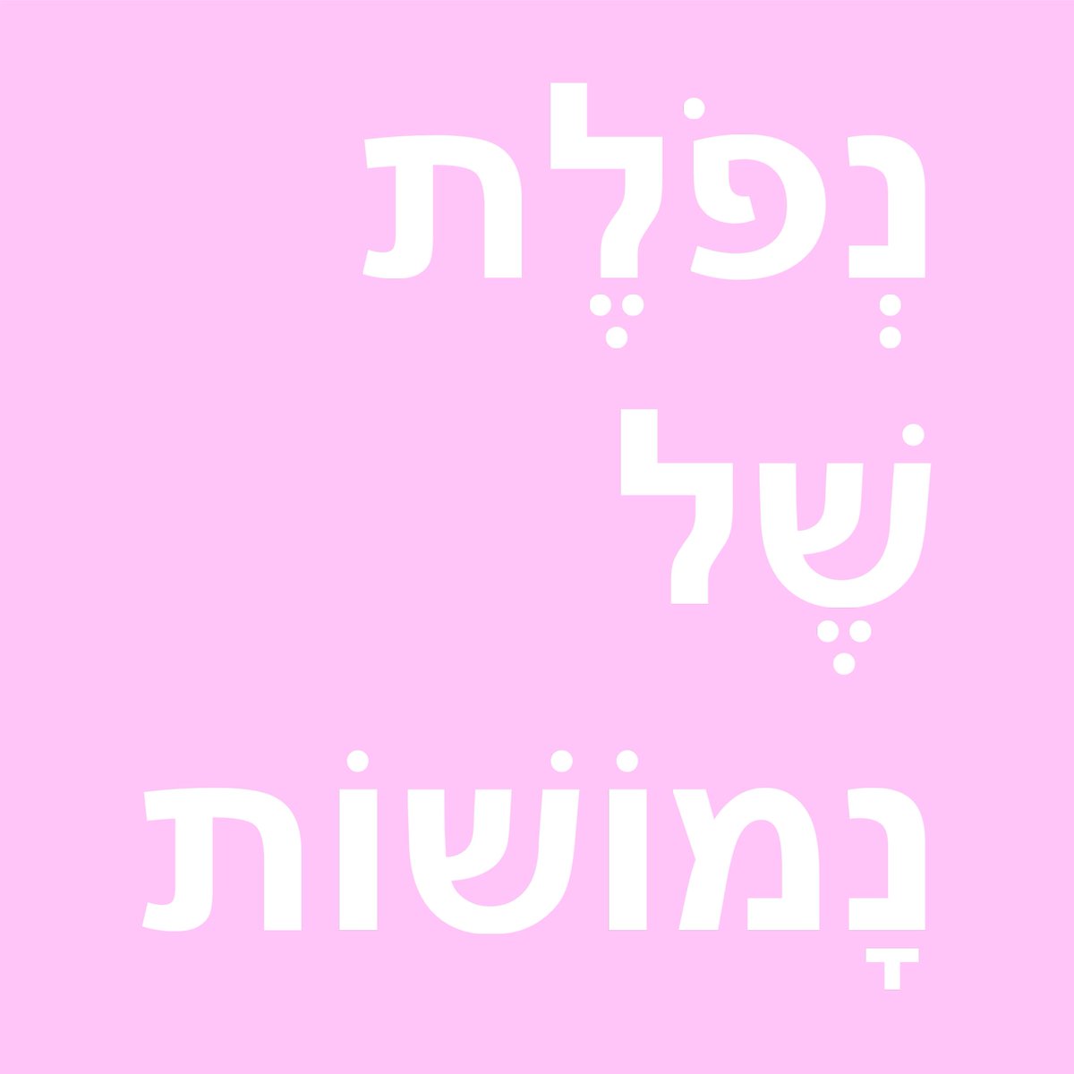 Gal G., Adv 🇮🇱 tweet media