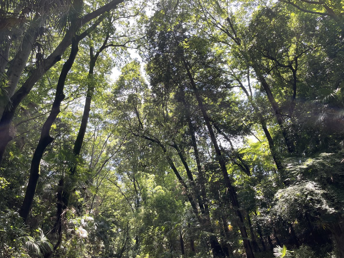 どんた@輝き不動産 tweet media