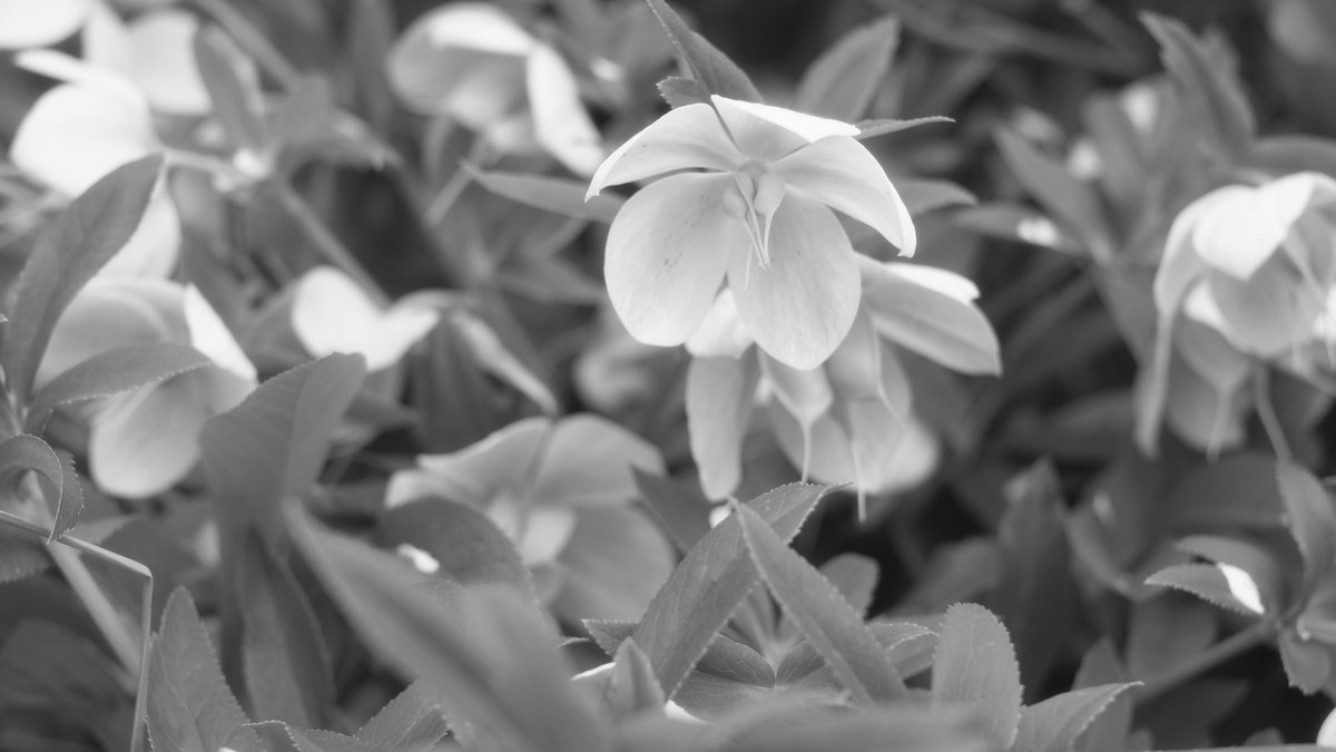 ハッシュ📷29a!😌 tweet media