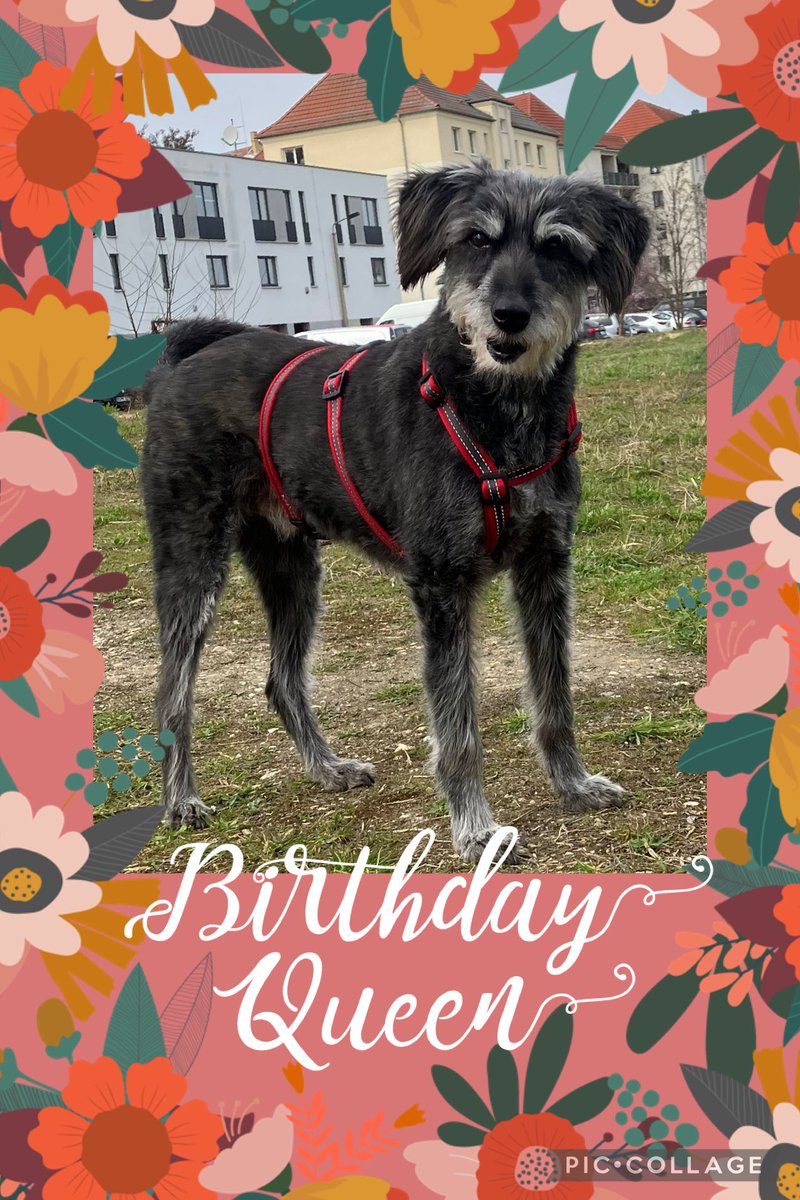 Ben am ewigen Glitzerwasser 🌈🖤 tweet media