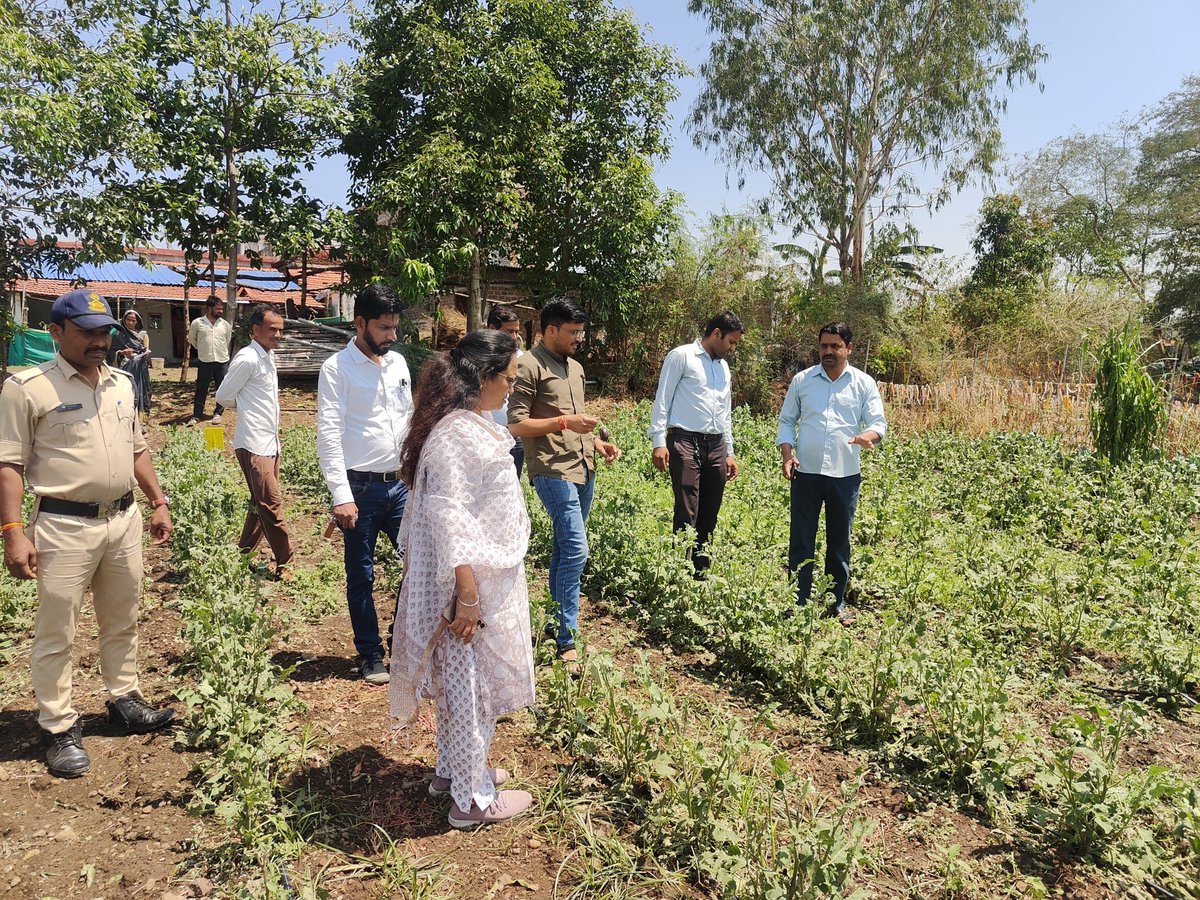 Collector Betul tweet media