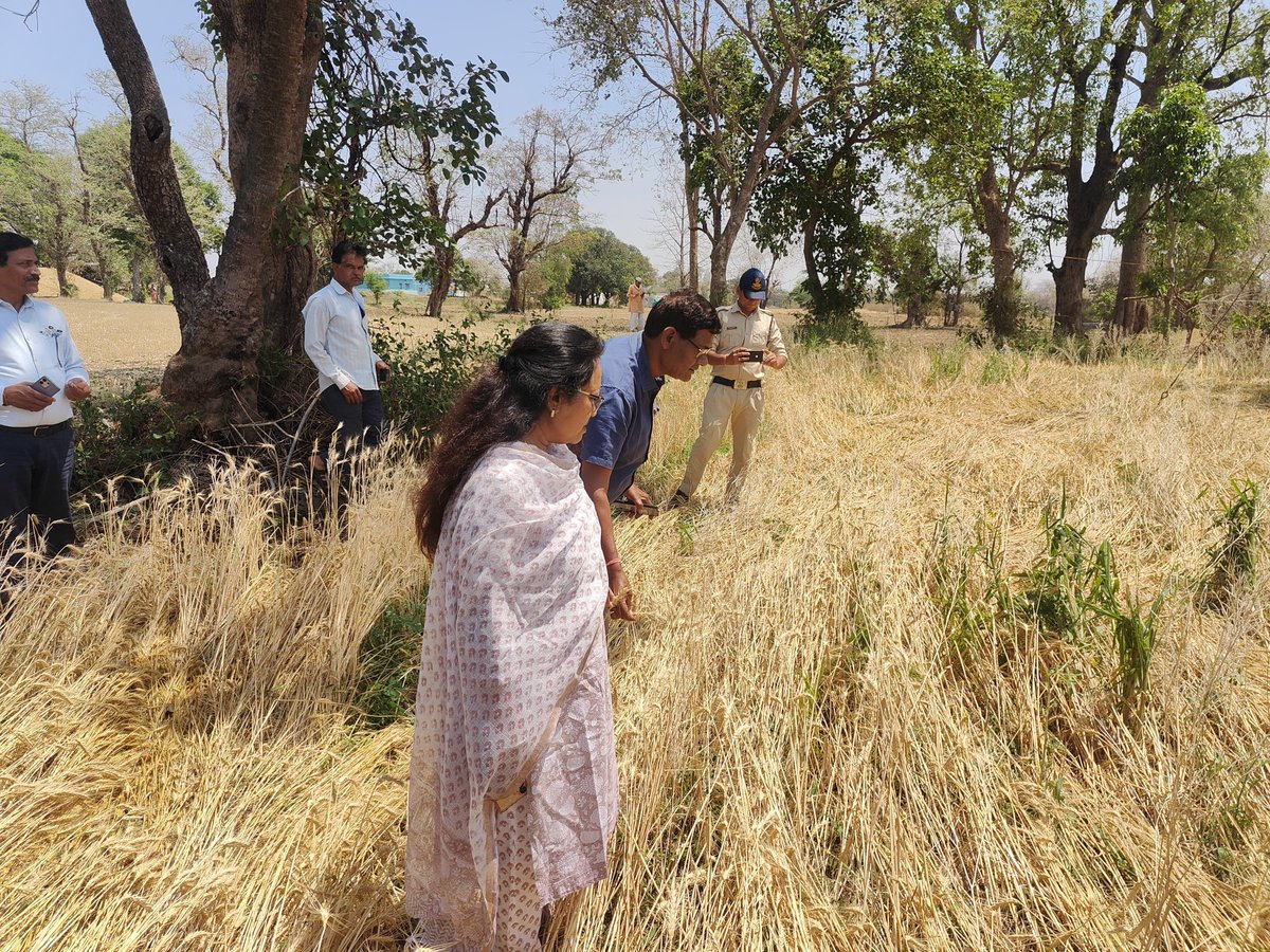 Collector Betul tweet media