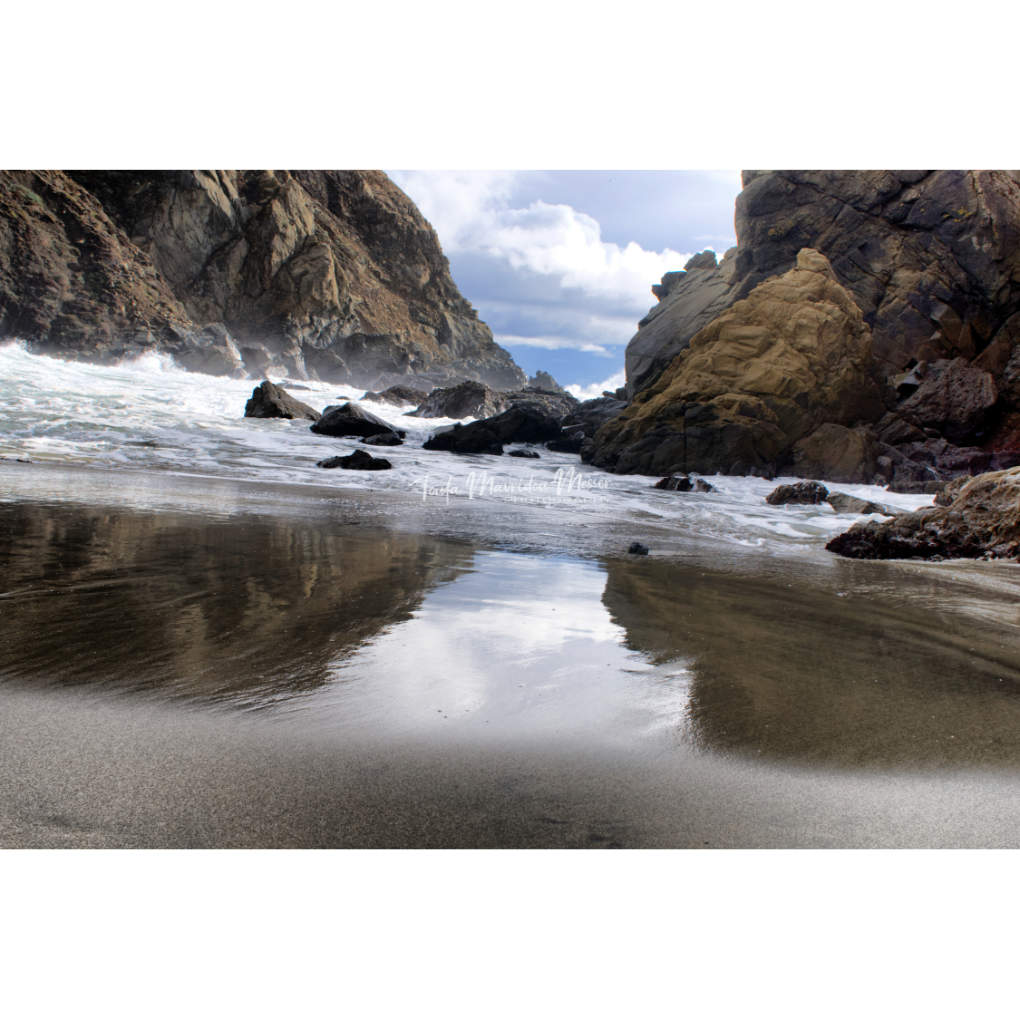 Toula Grayce Mavridou-Author & Photographer-No DMs tweet media