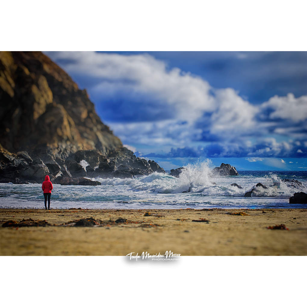 Toula Grayce Mavridou-Author & Photographer-No DMs tweet media