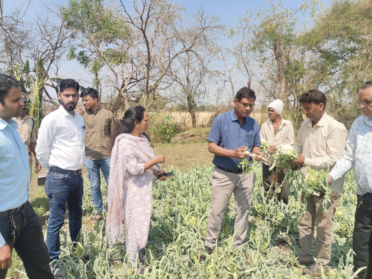 Collector Betul tweet media