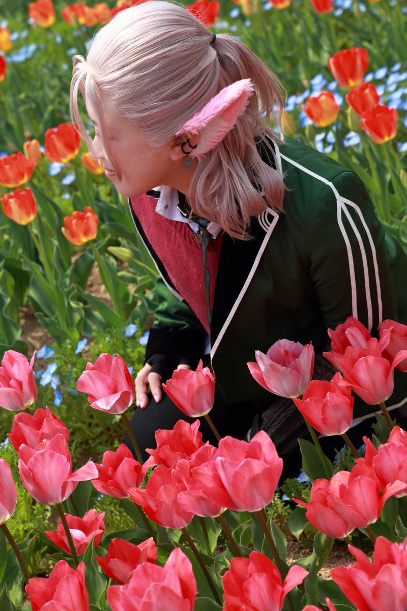 【cos】4K
No.200／村雲江
.

　　　花言葉「誠実な愛」

.
📷<a href="/aa7558aa/">🦋* R U I *🦋 いのちと向き合う いつもありがとうございます NO WAR</a> 
#昂しゃ
#一灯会
#アミティエ_リバモ