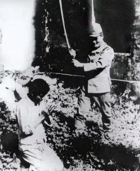 ✨日月星辰✨ tweet media