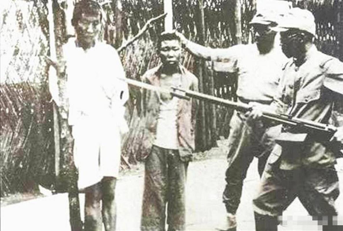 ✨日月星辰✨ tweet media