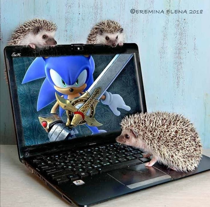 🍁JAKIRYO🍁 tweet media