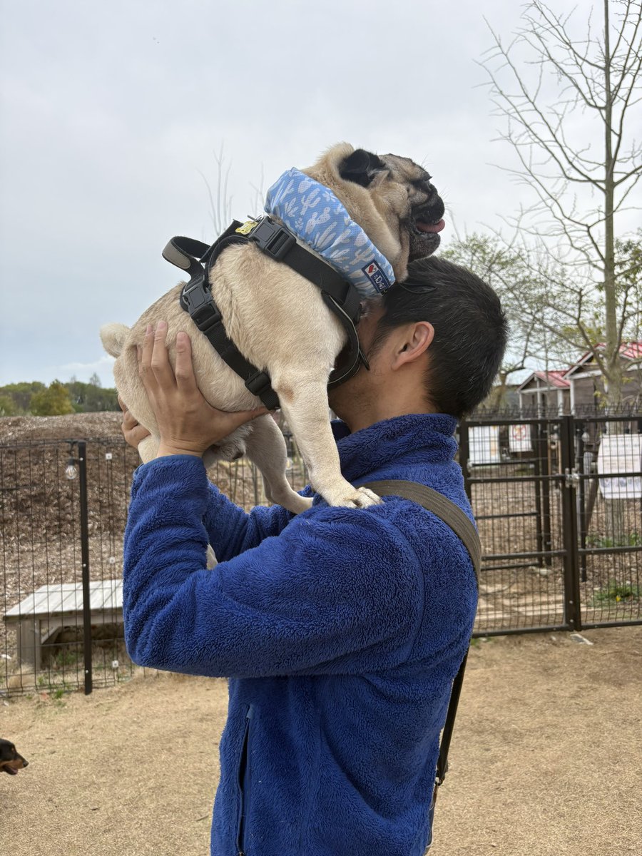 なおさん tweet media