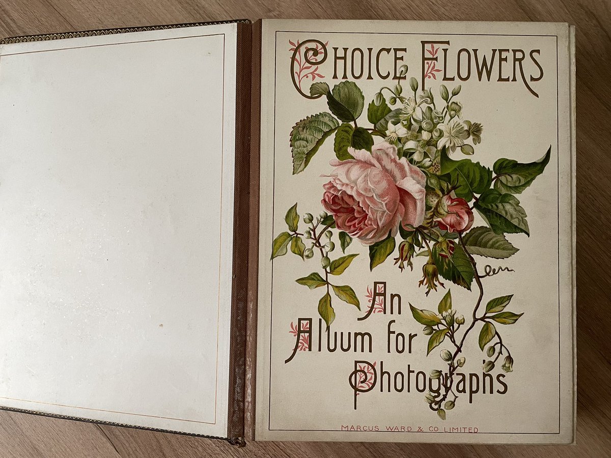 Lynn Heiden tweet media