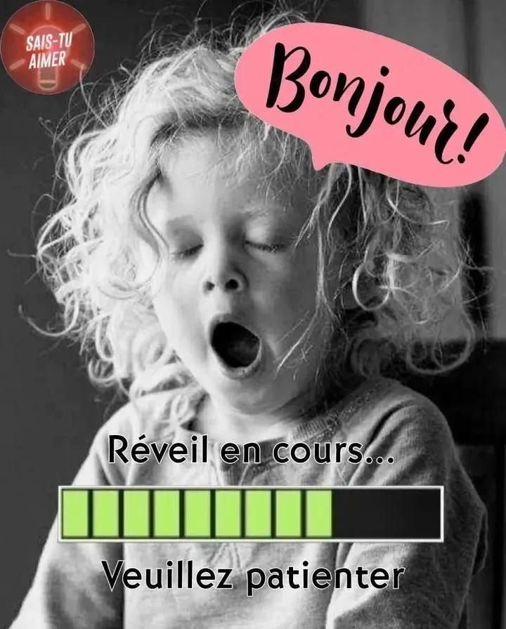 Liberato tweet media