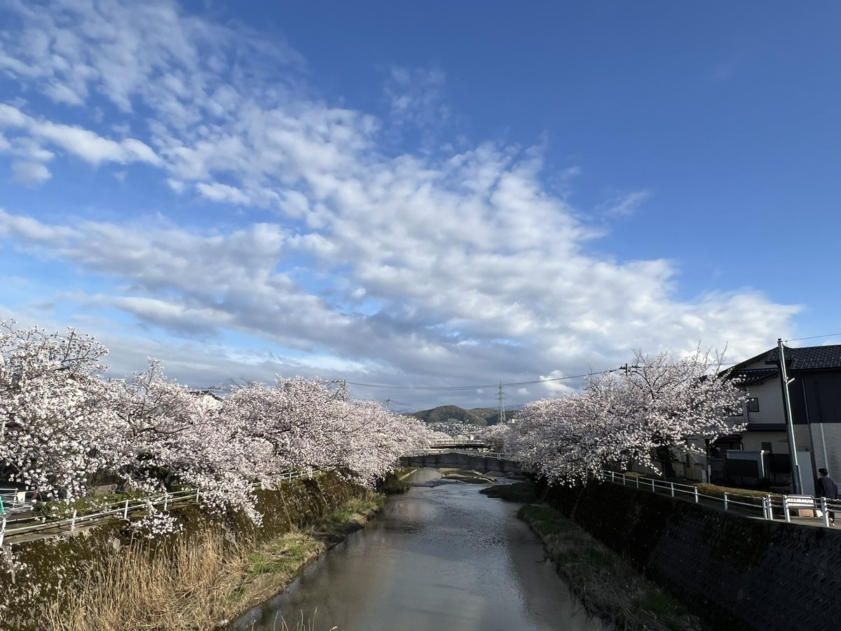 株式会社橋本清文堂 tweet media