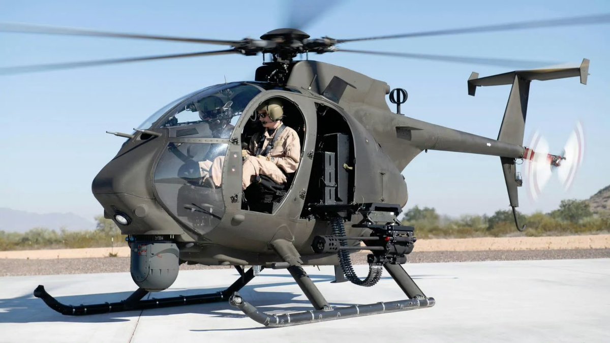 棠紫丹梅 tweet media