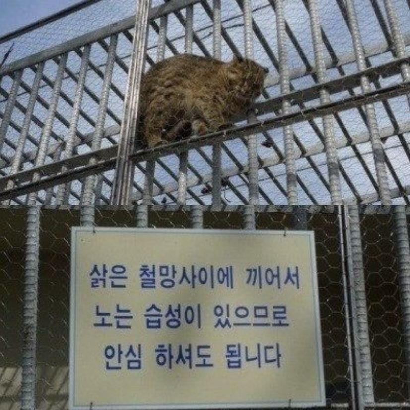 same energy (안전방충망 했어요)