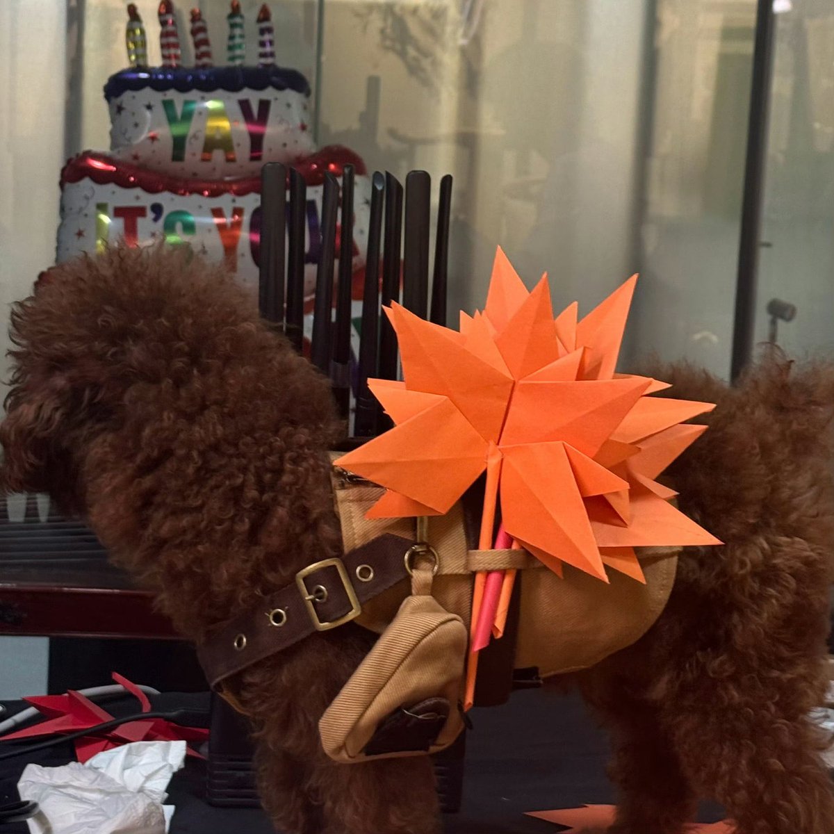 恵み(Megumi_May) tweet media