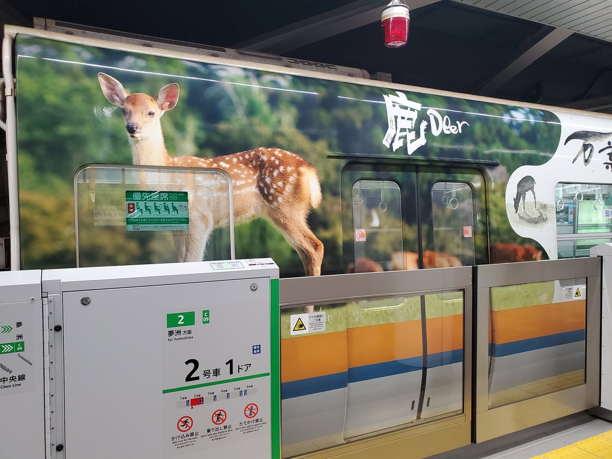 ありす@だらけ™️ tweet media