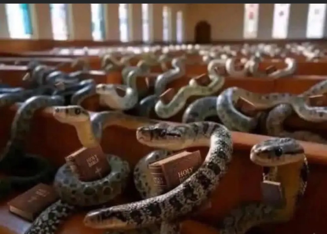 Davies😎😂 tweet media