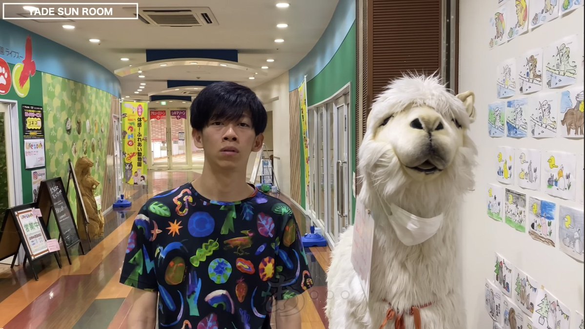 congee 🫧 tweet media