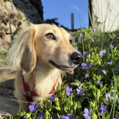 Jette (Ministerin für Fressangelegenheiten) tweet media