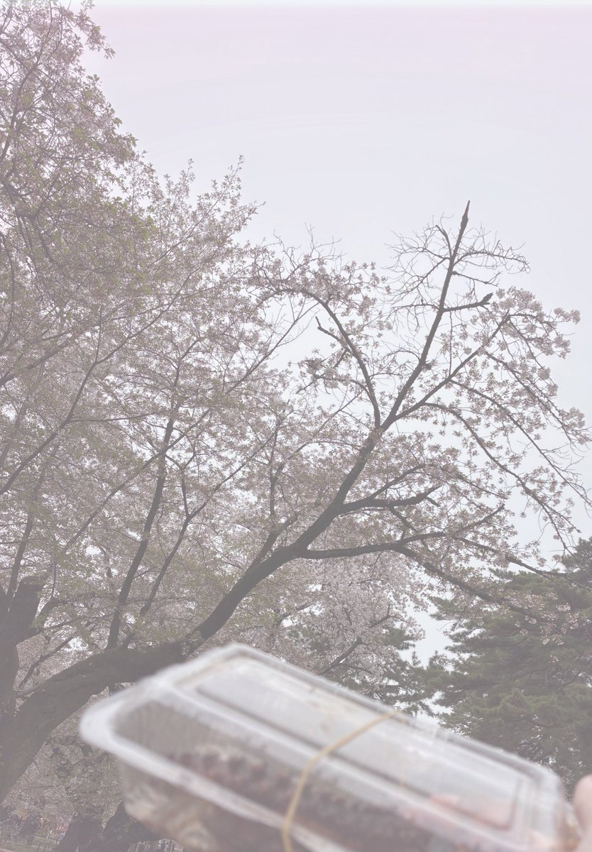 にゃちゃ tweet media