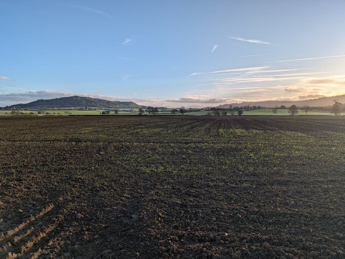 Clive Poole 🫏 tweet media