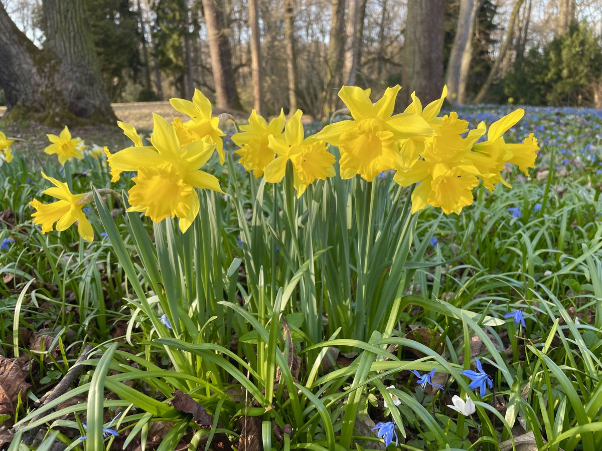 STR_1893 tweet media